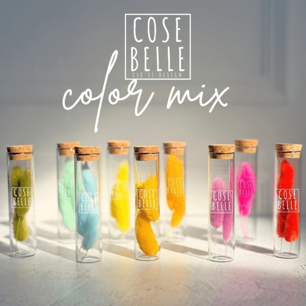 Choses belles - Mélange de couleurs » Clo'eT Design