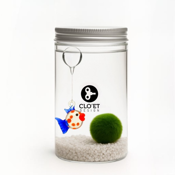 Marimo 10 Jahre + Schwimmend | Ein Freund, der mit Dir schwebt » Clo’eT Design