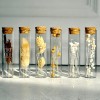 Choses belles - Naturel » Clo'eT Design
