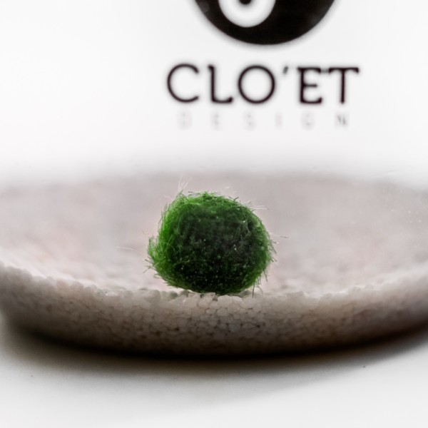 Baby Herz der Mutter | Muttertagsausgabe mit Marimo » Clo’eT Design