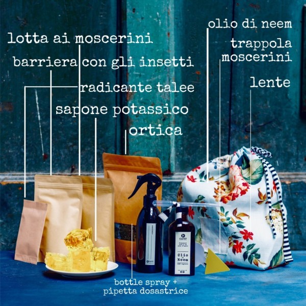 Botanical Pharmacy » Clo'eT Design