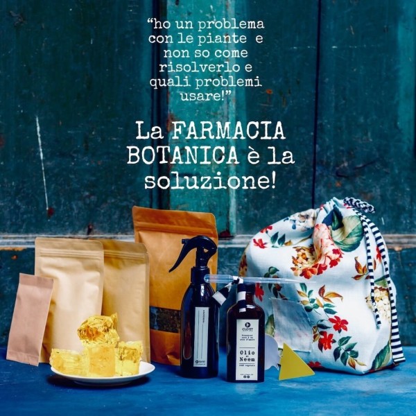 Botanical Pharmacy » Clo'eT Design