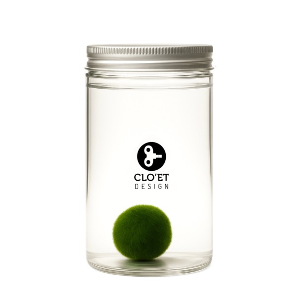 20-Year-Old Marimo | Strength, Time, and Depth » Clo’eT Design