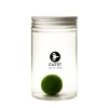 20 Jahre alter Marimo | Kraft, Zeit und Tiefe » Clo’eT Design