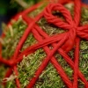 Kokedama PINO KOKEDAMA + PIKA avec PICEA GLAUCA Perfecta » Clo’eT Design