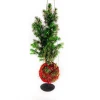 Kokedama PINE KOKEDAMA + PIKA with PICEA GLAUCA Perfecta » Clo’eT Design