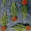 Kokedama PINE KOKEDAMA + PIKA with PICEA GLAUCA Perfecta » Clo’eT Design