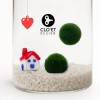 Marimo True Love | Deux Marimo, un cœur, une maison » Clo’eT Design