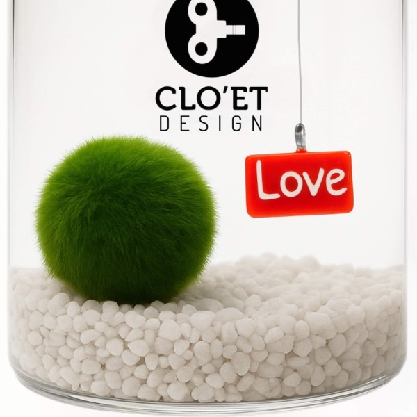 Marimo Love - 10 Years » Clo’eT Design
