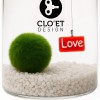 Marimo Love - 10 Jahre » Clo’eT Design