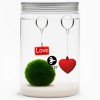 Marimo Love - 20 Jahre » Clo’eT Design