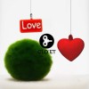 Marimo Love - 20 Jahre » Clo’eT Design