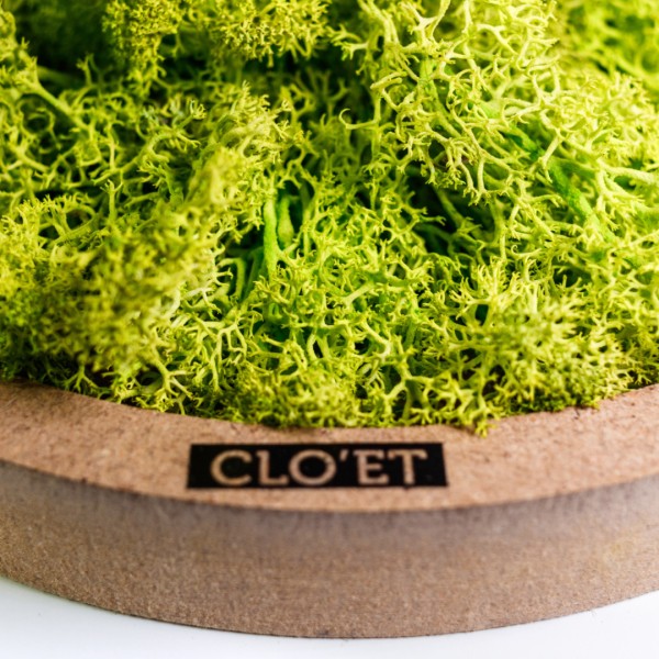 JACO – Medium Vertical Garden of Preserved Moss » Clo'eT Design
