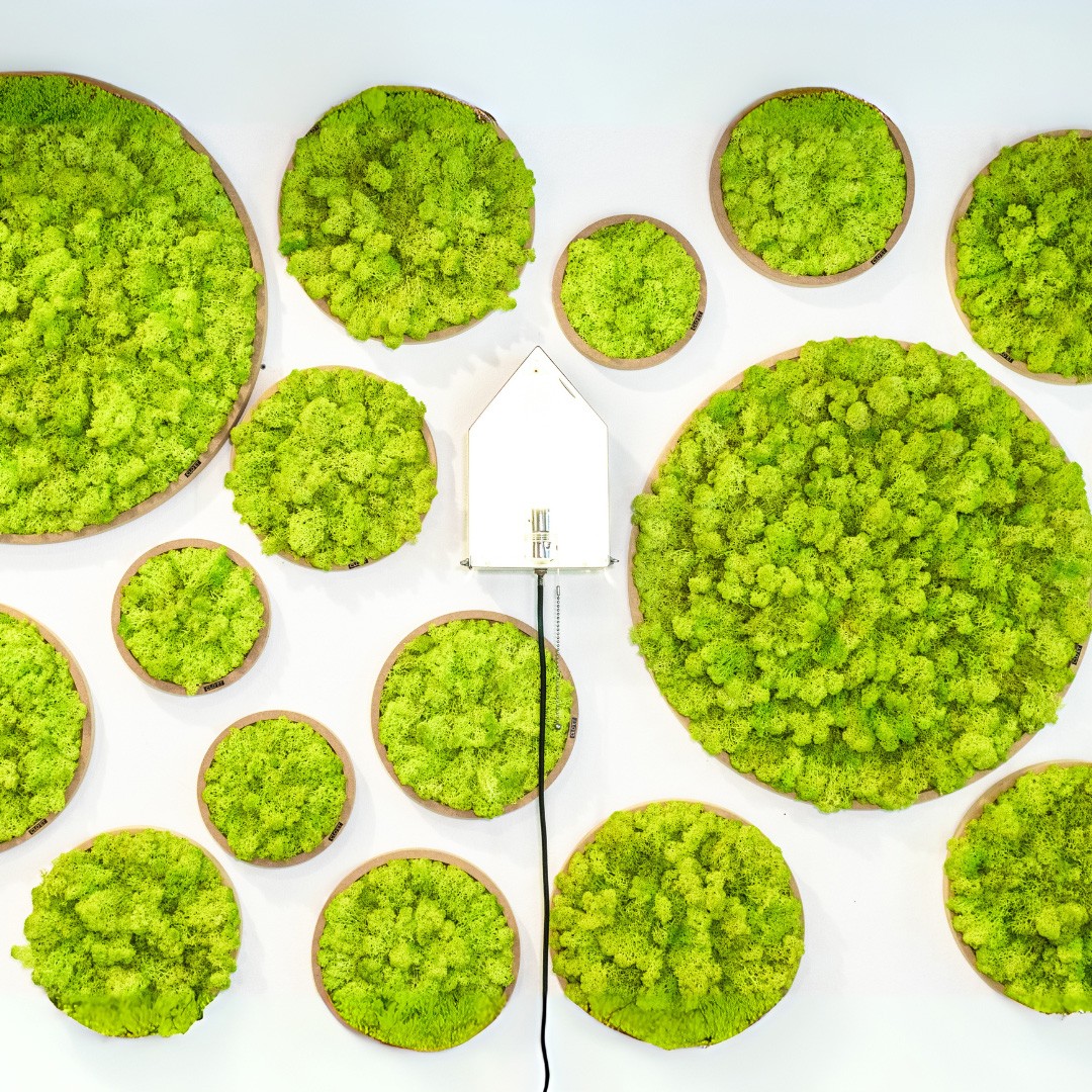 JACO – Extra Large Vertical Garden of Stabilized Moss » Clo'eT Desi