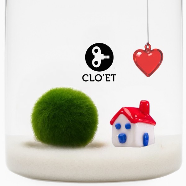 Marimo de 20 Ans | Tu es ma maison » Clo’eT Design