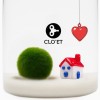 20-Year-Old Marimo | You Are My Home » Clo’eT Design