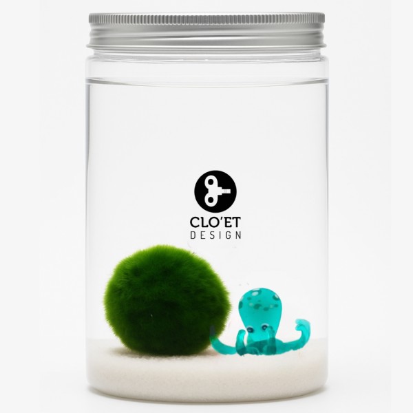 Marimo 30 Years + Companion from the Seabed | Bond that Stands the Test of Time » Clo’eT