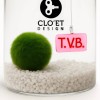 I Love You | Marimo ILY special edition with limited release » Clo'e