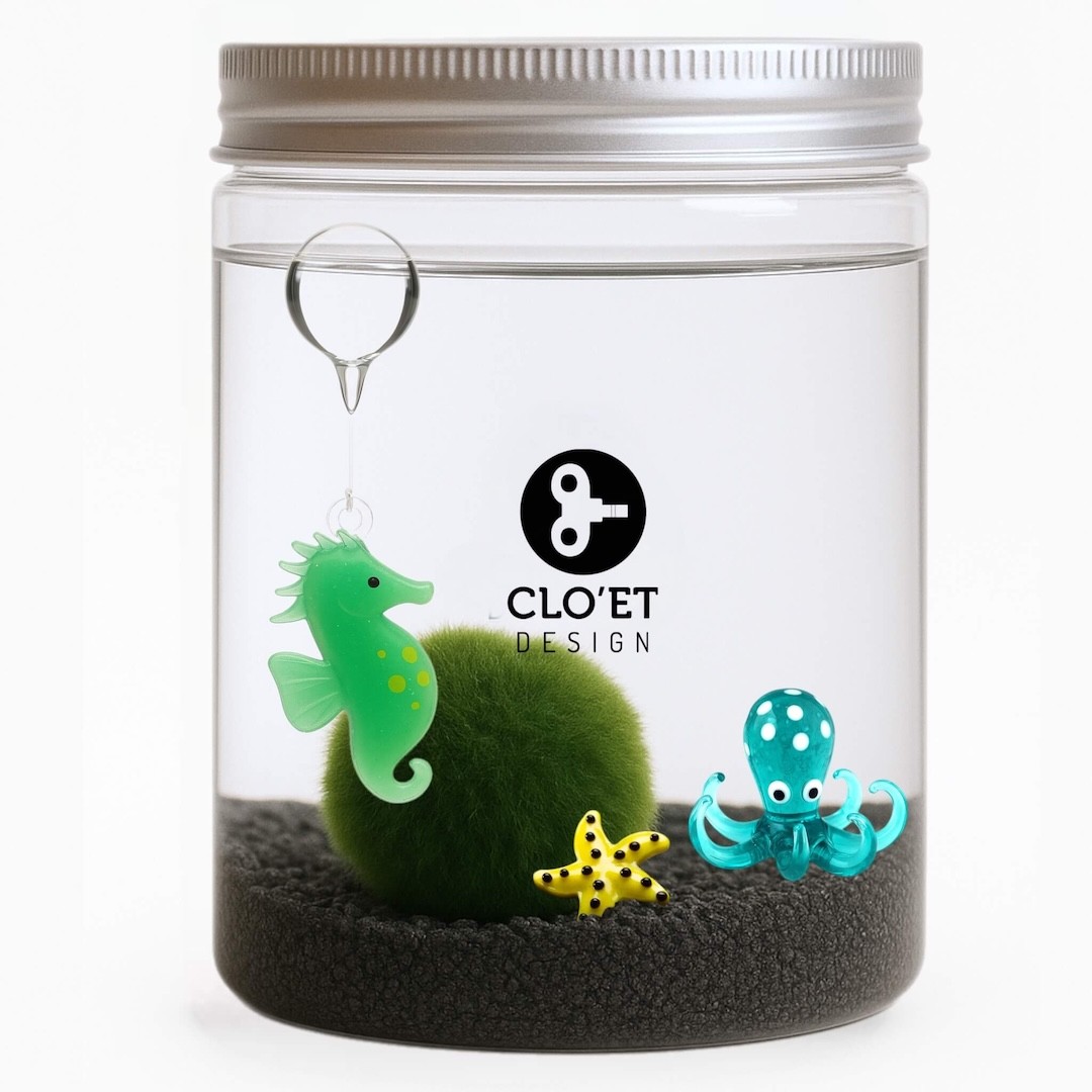 Marimo - 30 Ans Personnalisable » Clo’eT Design