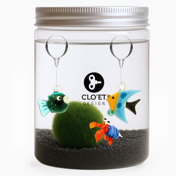 Marimo - 30 Ans Personnalisable » Clo’eT Design
