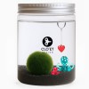 Marimo - 30 Ans Personnalisable » Clo’eT Design