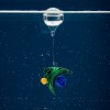 PABLO - Sous-marin » Clo’eT Design