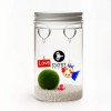 Marimo 10 Years - Customizable » Clo’eT Design