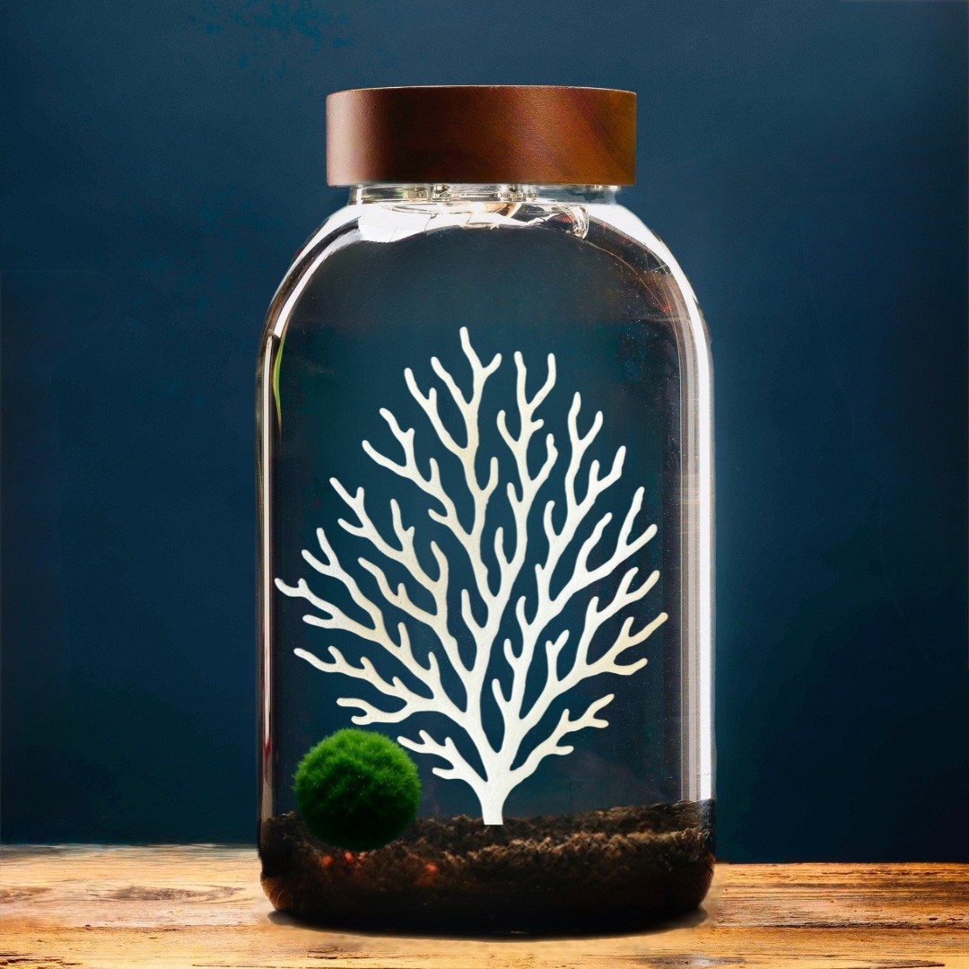 Corallina - Accessoire pour Marimo » Clo’eT Design