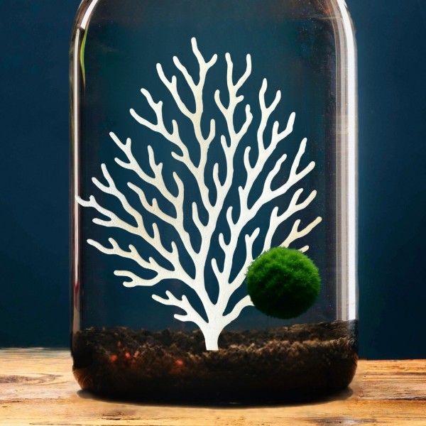 Corallina - Accessorio per Marimo » Clo’eT Design
