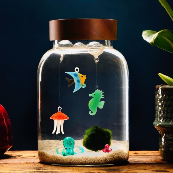 Aquarium Small pour Marimo - Personnalisable » Clo’eT Design