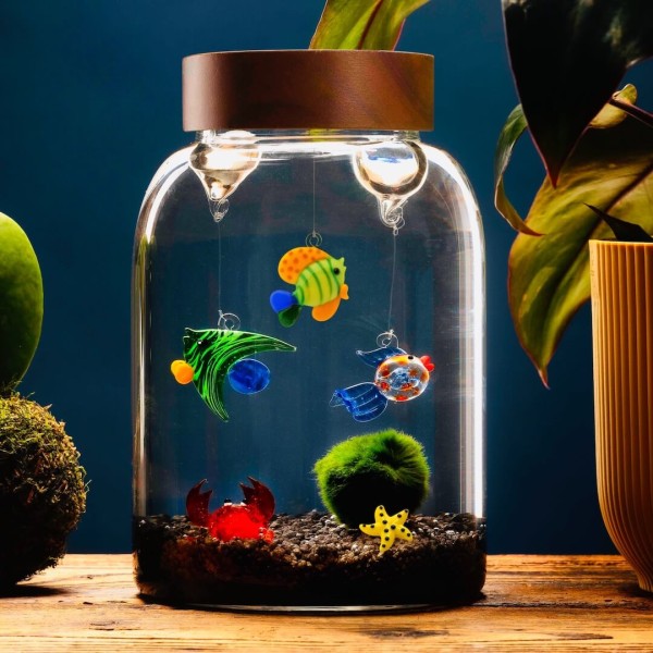 Aquarium Small pour Marimo - Personnalisable » Clo’eT Design