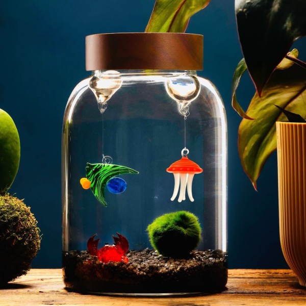 Aquarium Small pour Marimo - Personnalisable » Clo’eT Design