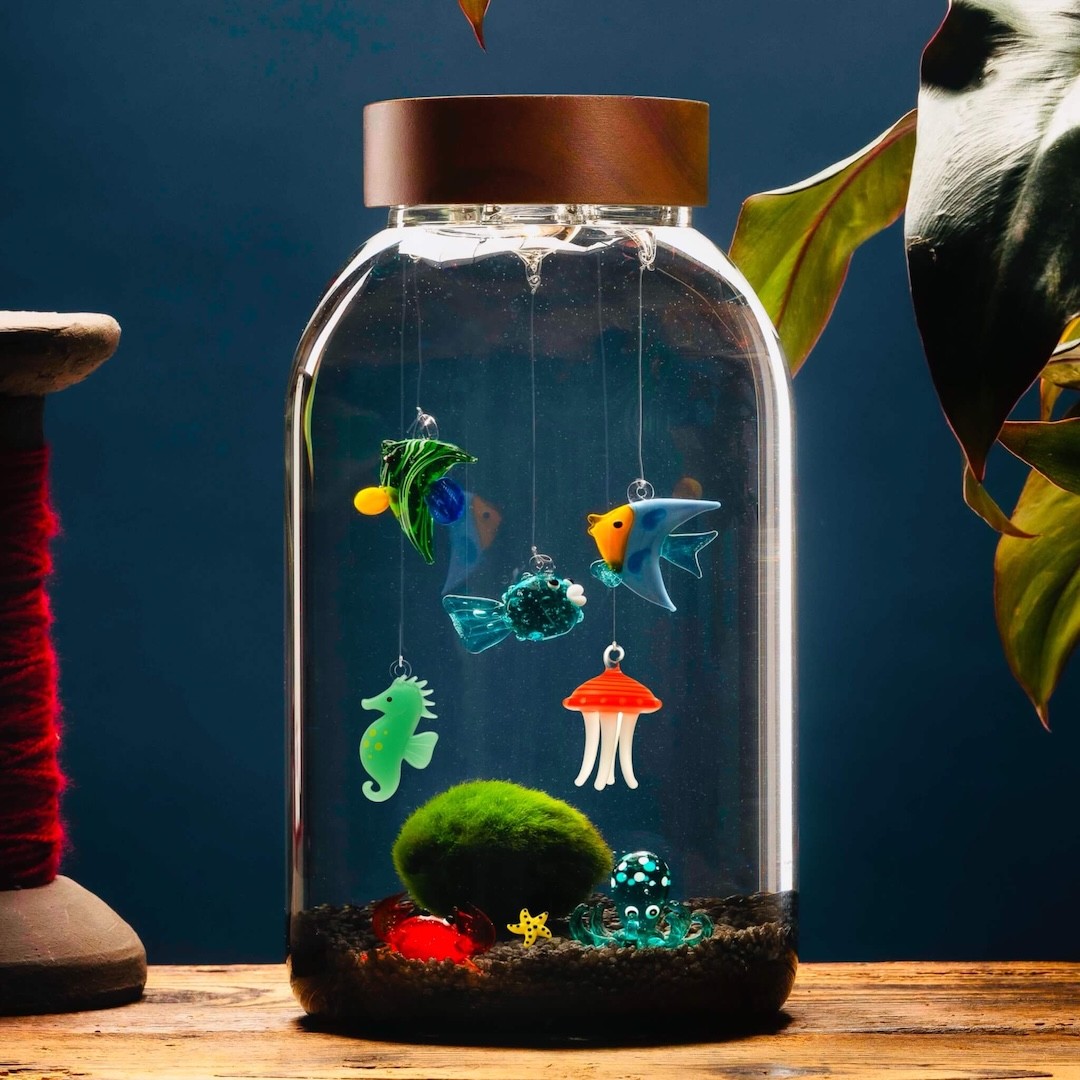 Aquarium Big für Marimo - Anpassbar » Clo’eT Design