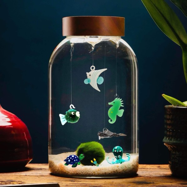 Aquarium Big für Marimo - Anpassbar » Clo’eT Design