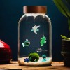 Big Aquarium for Marimo - Customizable » Clo’eT Design