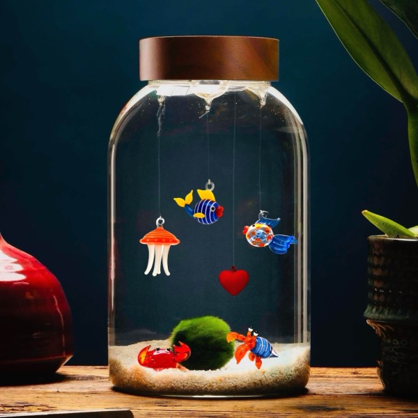 Big Aquarium for Marimo - Customizable » Clo’eT Design