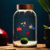 Aquarium Big für Marimo - Anpassbar » Clo’eT Design
