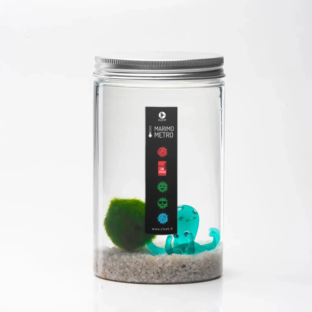 Marimètre | Le premier thermomètre pour Marimo au monde » Clo’eT Design