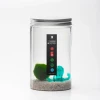 Marimètre | Le premier thermomètre pour Marimo au monde » Clo’eT Design