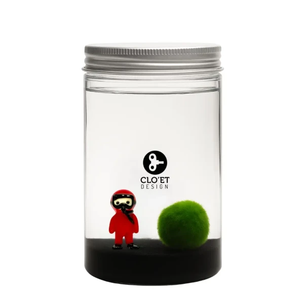 Marimo 10 years with black quartz + PINO the Submarimo » Clo’eT Design
