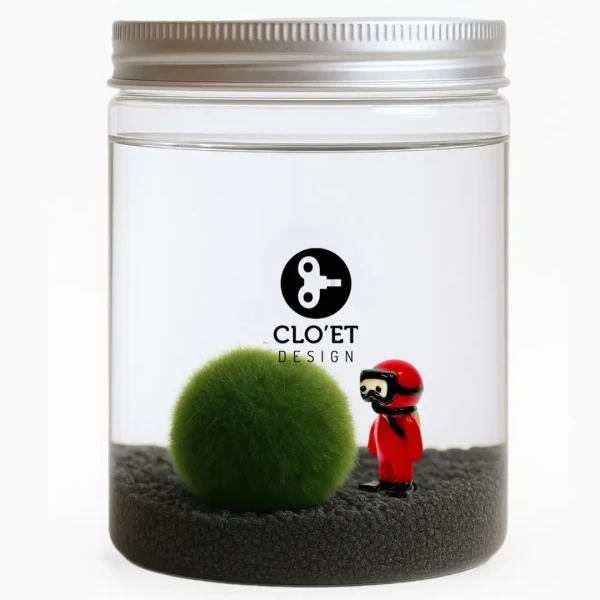 Marimo 30 years with black quartz + PINO the Submarimo » Clo’eT Design