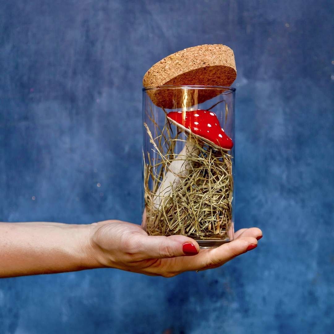 Fortune Finder Mushroom - Amanita in Glass Jar » Clo'eT Design