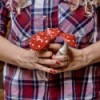 Champignon Porte-Bonheur - Amanite en Bocal en Verre » Clo'eT Design
