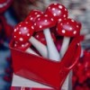 Holzkranz Funghetto mit handbemalten Amanita-Pilzen » Clo'eT Design