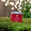 Pine in the family: your Christmas tree to grow » Clo'eT Design