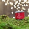 Pine in the family: your Christmas tree to grow » Clo'eT Design