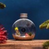 Gift Package - Decoration for Marimo - Sottomarimo » Clo'eT Design