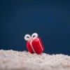 Gift Package - Decoration for Marimo - Sottomarimo » Clo'eT Design