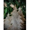 Albert Christmas Tree: Illuminated Decoration for Any Environment » Clo'eT Design