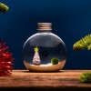 Baby Marimo de Noël | Édition Spéciale de Noël » Clo’eT Design